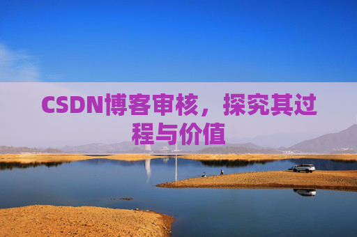 CSDN博客审核,探究其过程与价值